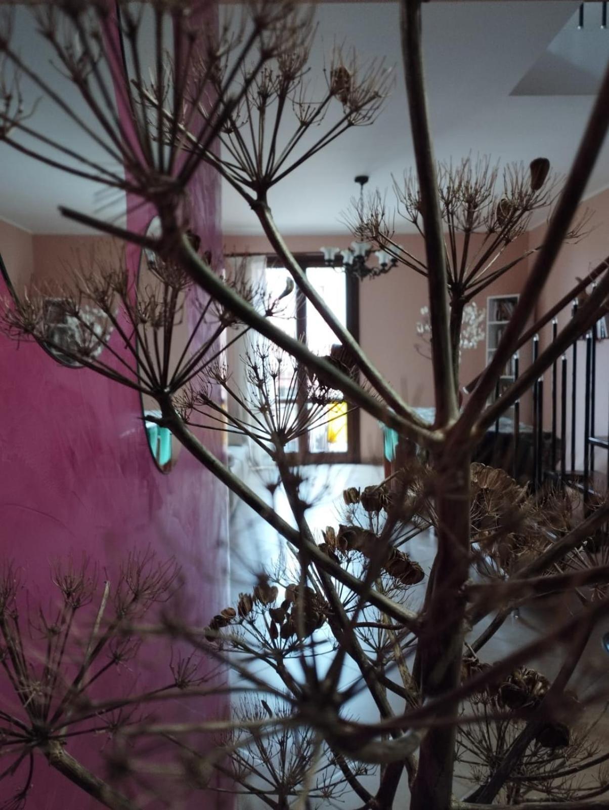 Bed and Breakfast Ferula Loft Sortino Екстер'єр фото
